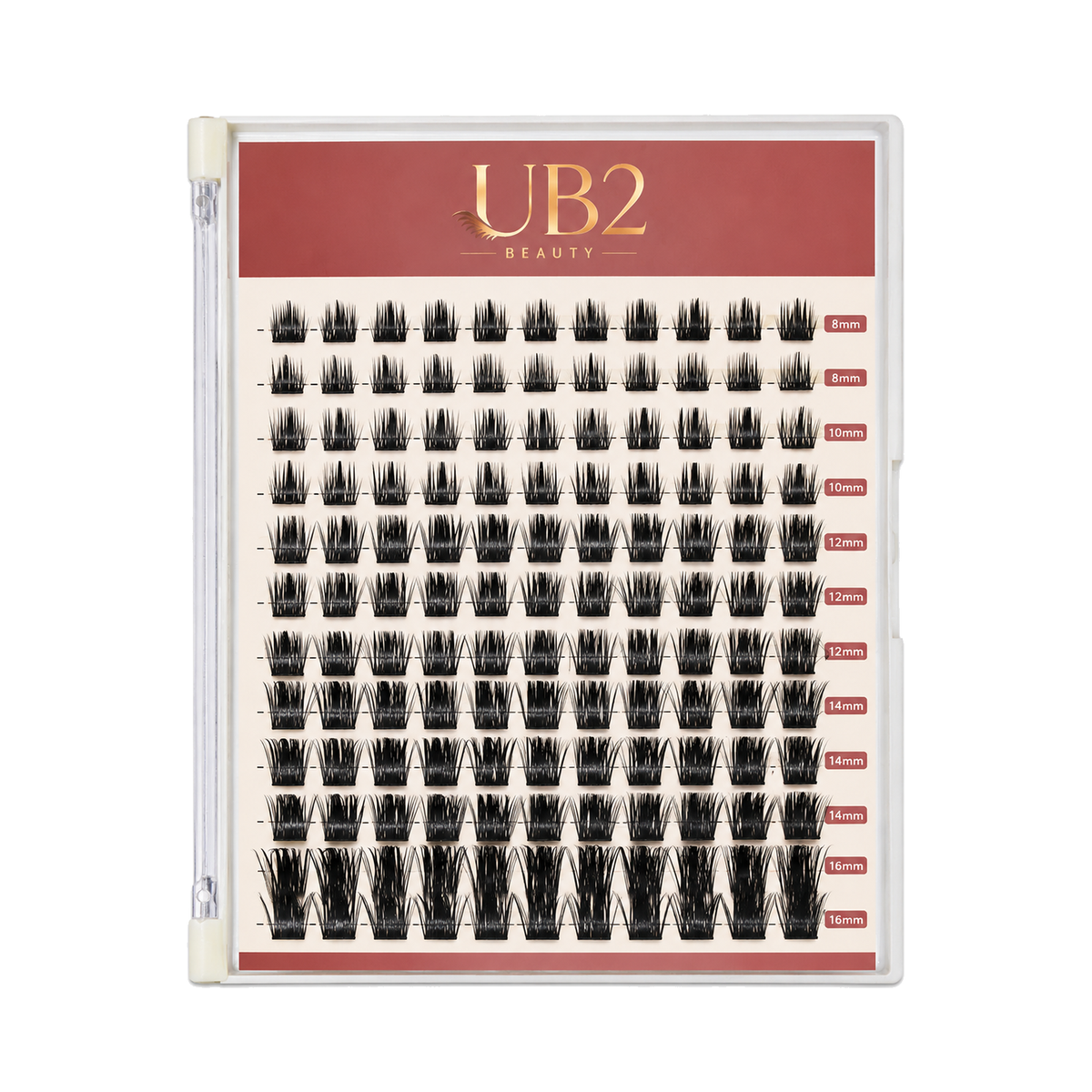 LS-004-12-B lash product standardized main image