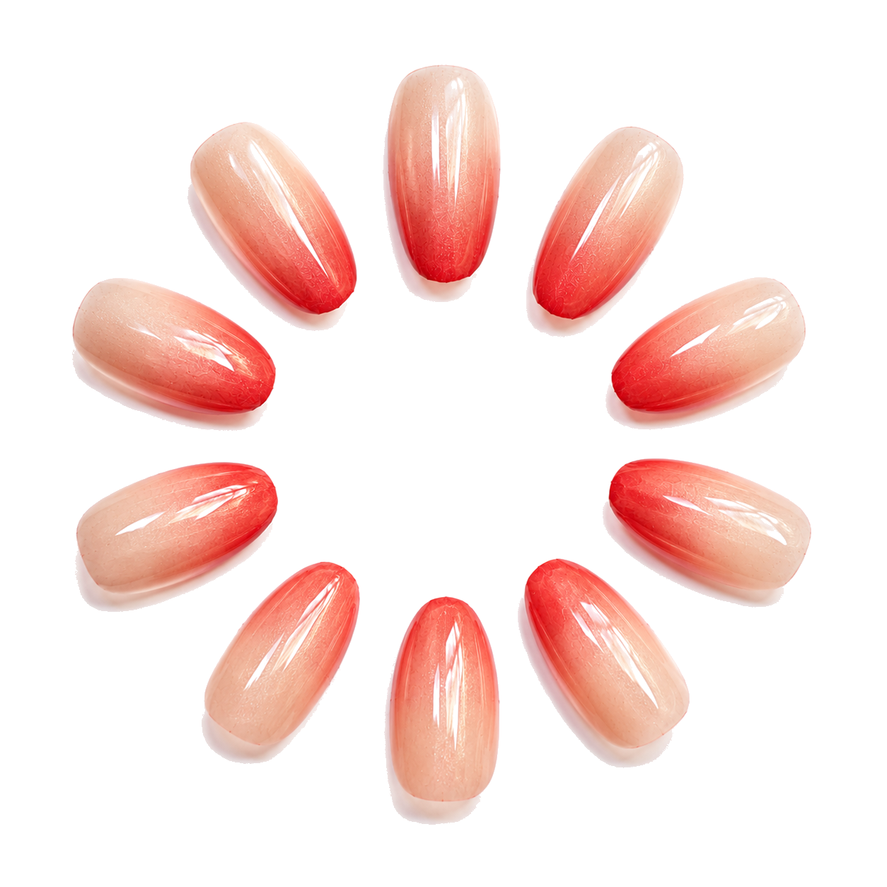 H-008-C Handmade Floral Short Almond Press-On Nails - White background hand close-up view - UB2 BEAUTY